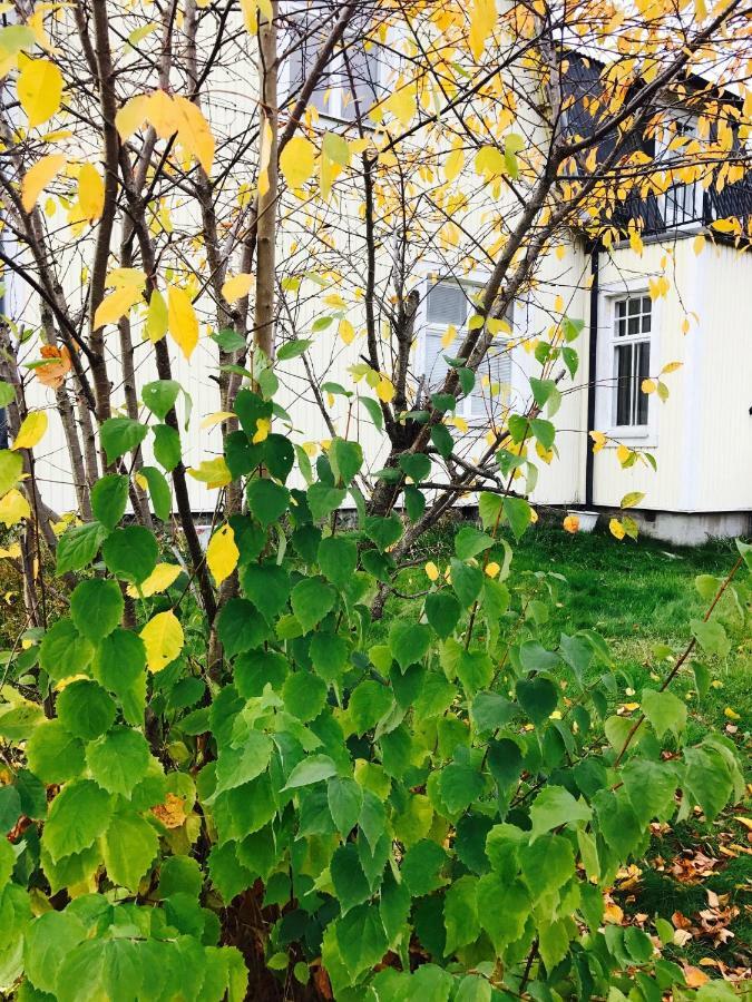 Parkgatan Villa Krylbo Εξωτερικό φωτογραφία